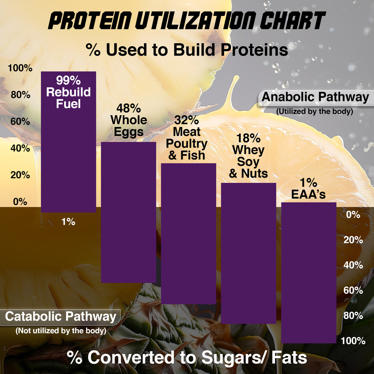 Foundation Recovery Stack – Daily Recovery, Hydration & Wellness Support