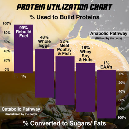 Foundation Recovery Stack – Daily Recovery, Hydration & Wellness Support